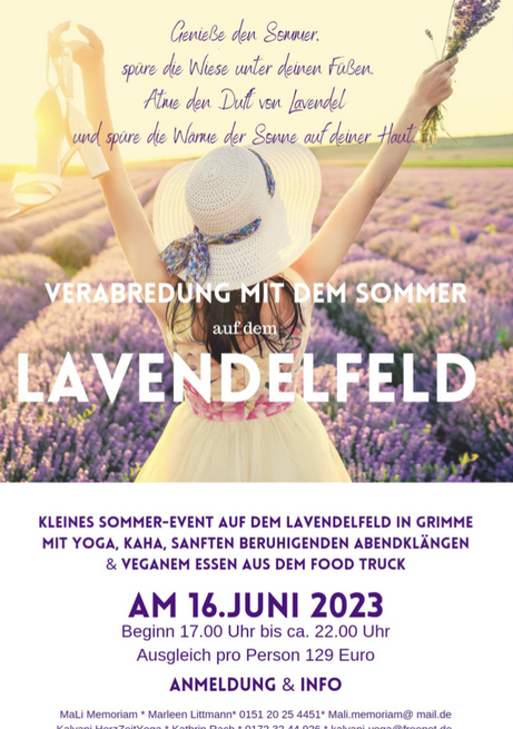 Download Sommerevent Lavendelfeld